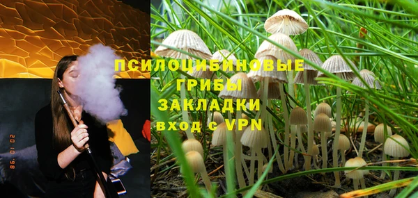 винт Арсеньев