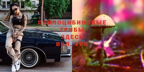 прущий лед Семилуки