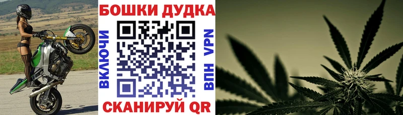 купить наркоту  Темрюк  МАРИХУАНА план 